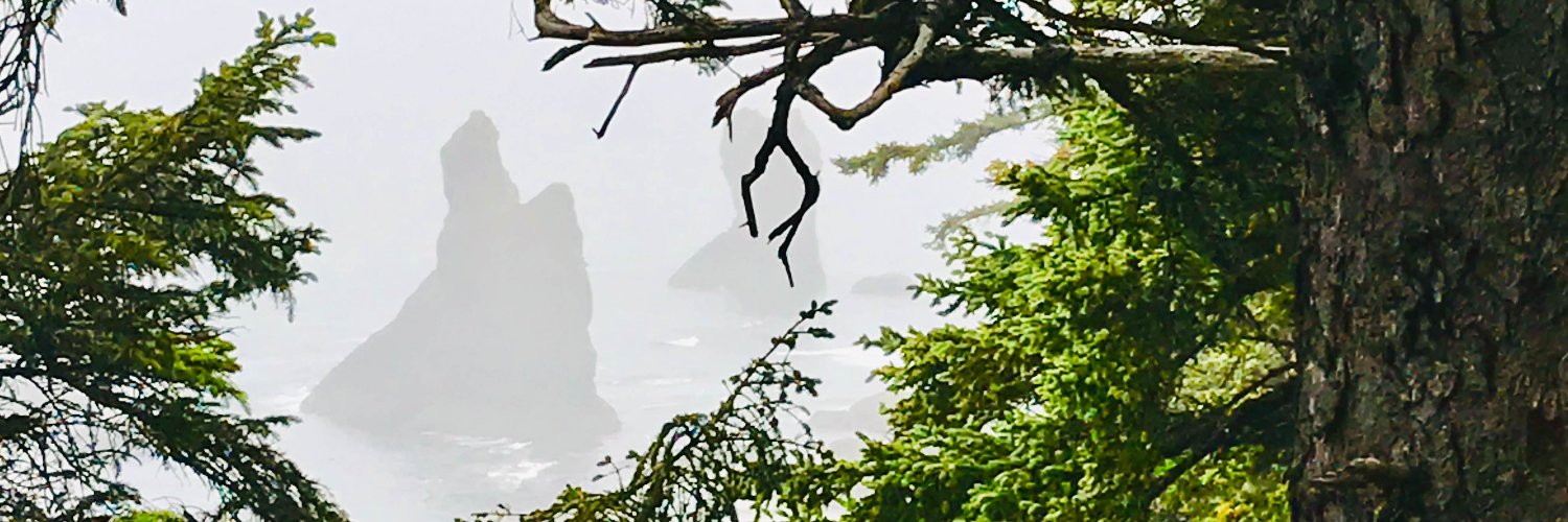 robcasey's profile banner image