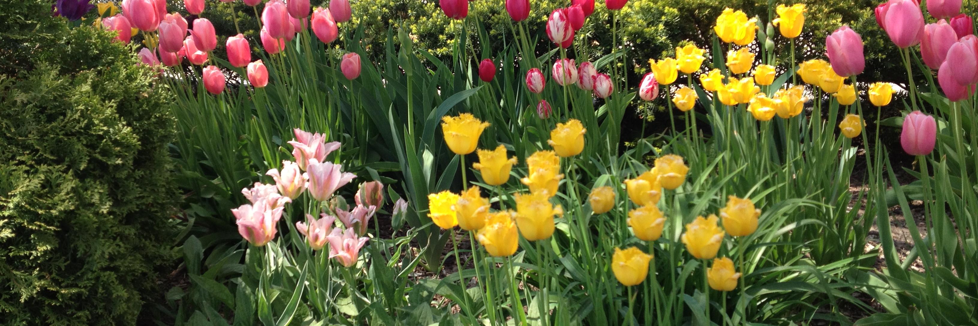 HeidiToronto's profile banner image