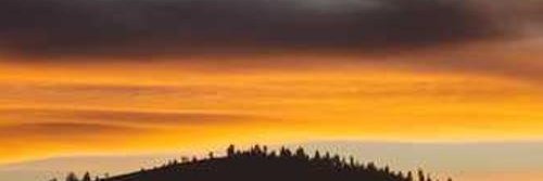 sdk1191548's profile banner image