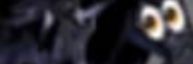 Seltyyy🚷🧂 banner