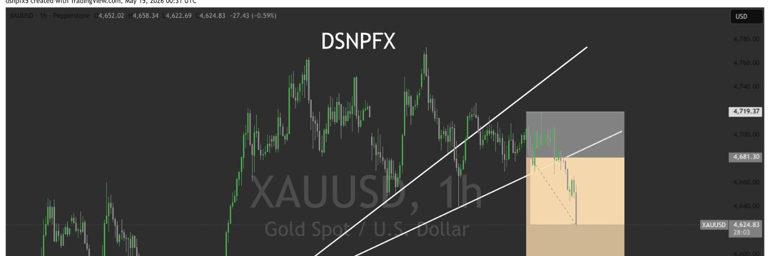DSNP FX banner