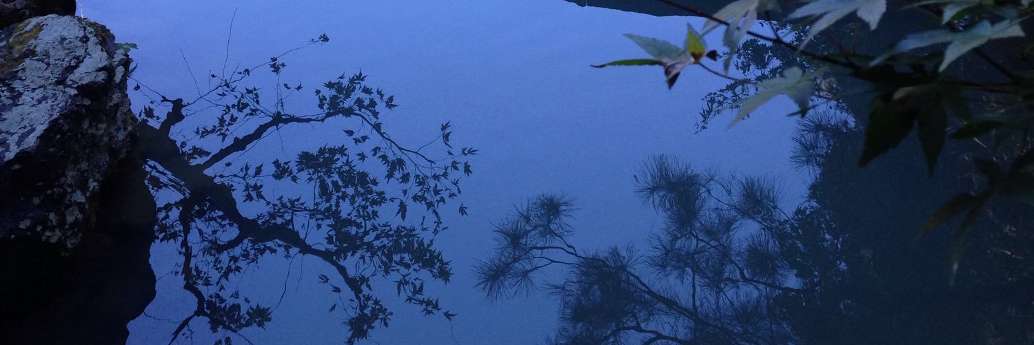 Epipam's profile banner image