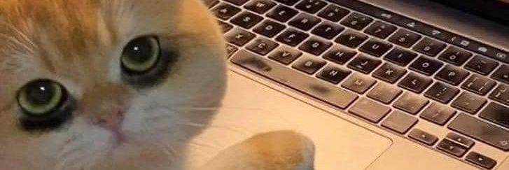 ชนีขี้เสือก banner