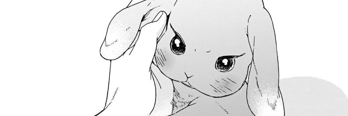 bunni736's profile banner image