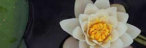 vy782932985397's profile banner image