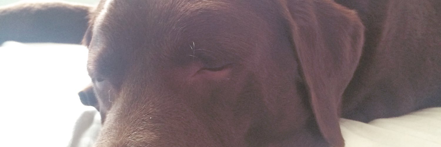 heyitselisha's profile banner image