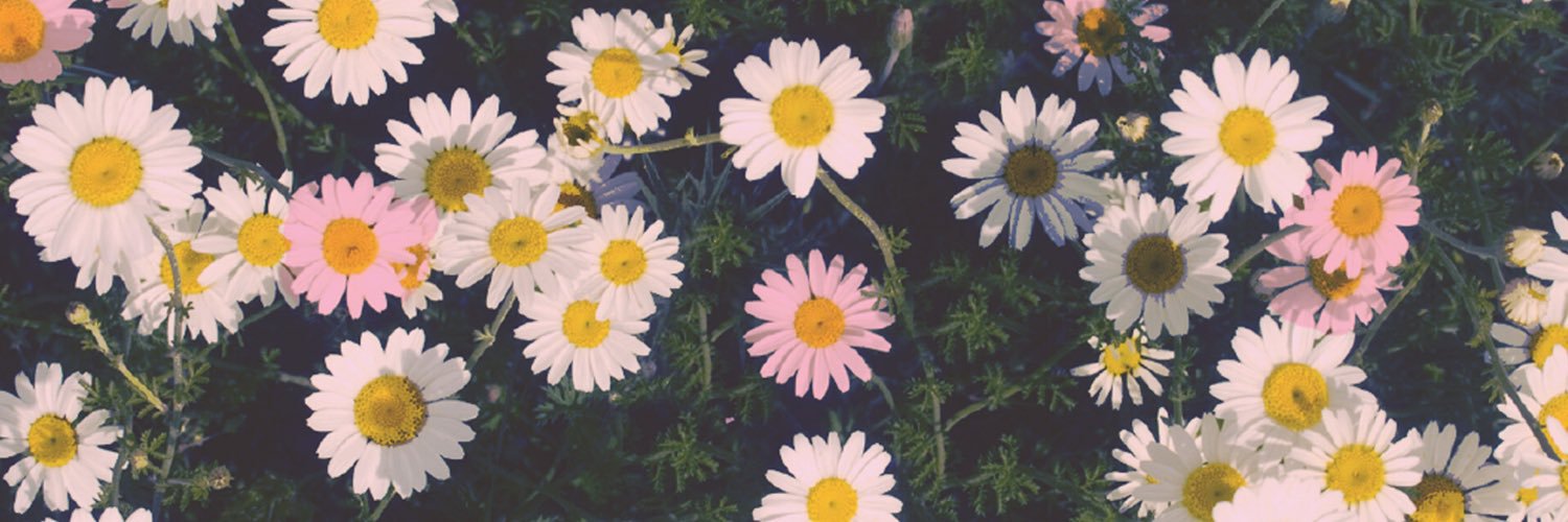 MarianneLLL's profile banner image