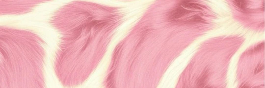 Amjadv_0's profile banner image
