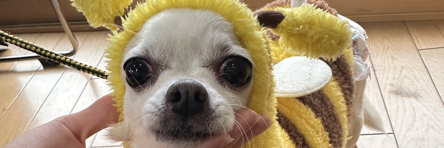 🥐 banner