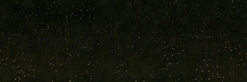 No1elsein's profile banner image