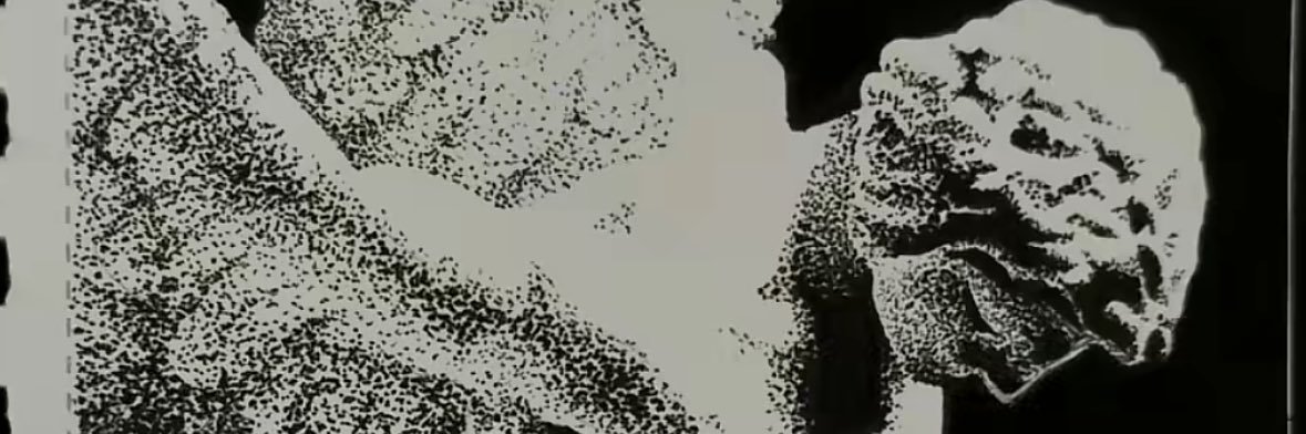 VIGOLUX's profile banner image