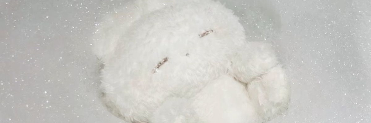 마이 banner