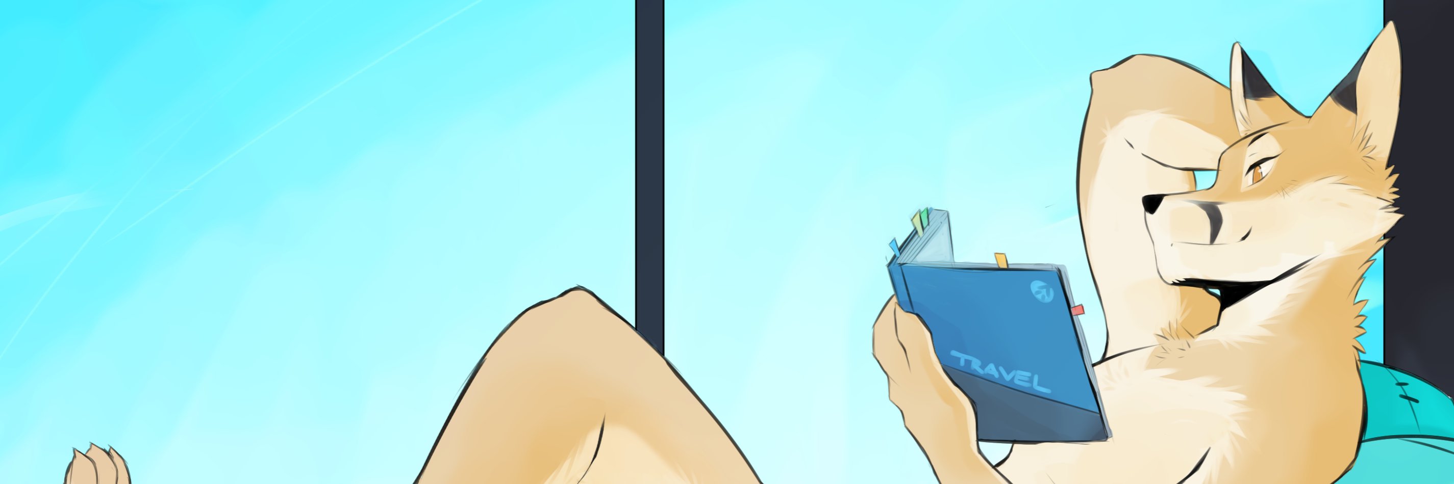 binaryfox's profile banner image