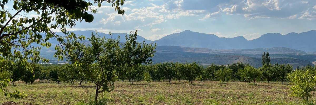 Doğan Erbaş banner