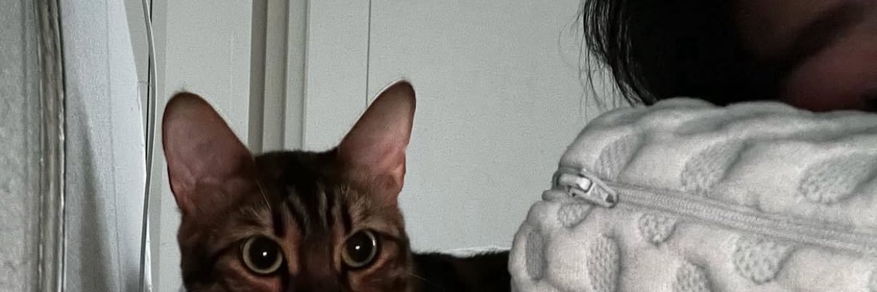 나의쇼타임 banner