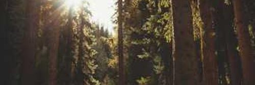 ttme532539's profile banner image