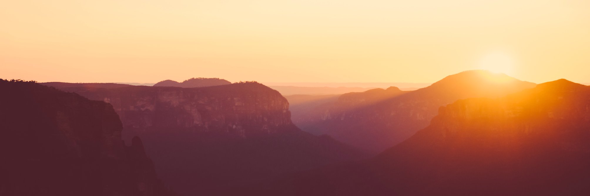 teddyoliver's profile banner image
