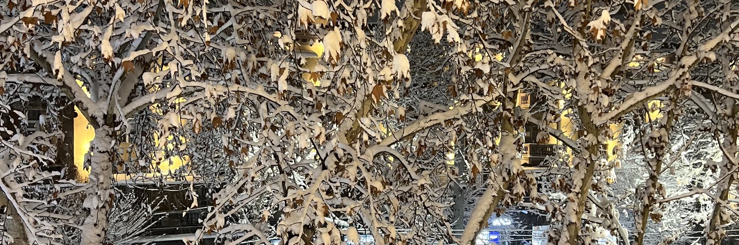 Optimus Roller banner