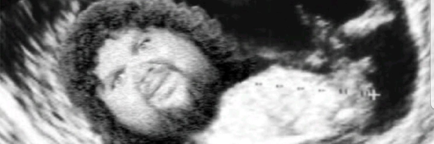 Sophia Johnson banner