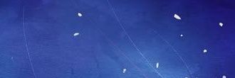 ★ banner