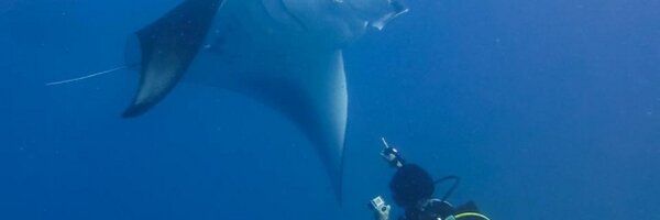 magicfx Profile Banner