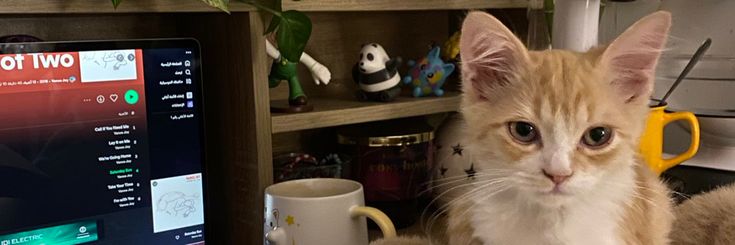 Simqdr's profile banner image