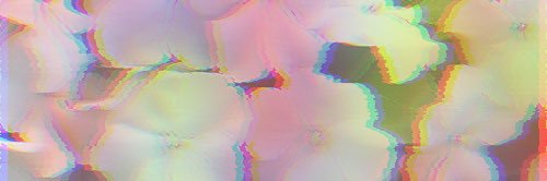 Seriryn Asicho 🗡️🕸️ banner