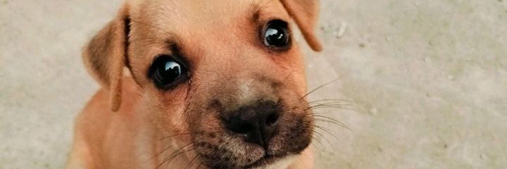 THEGHOST3404's profile banner image