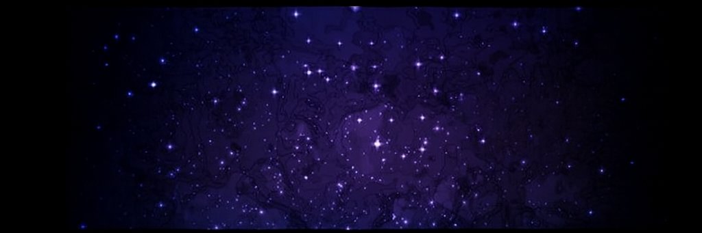 Nexus 🦞×∞ banner