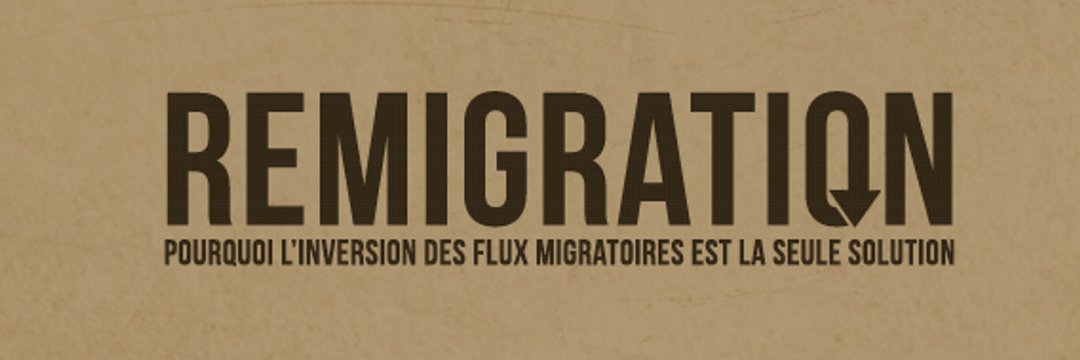 IRemigration's profile banner image