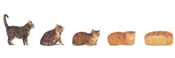 deelistelar Profile Banner