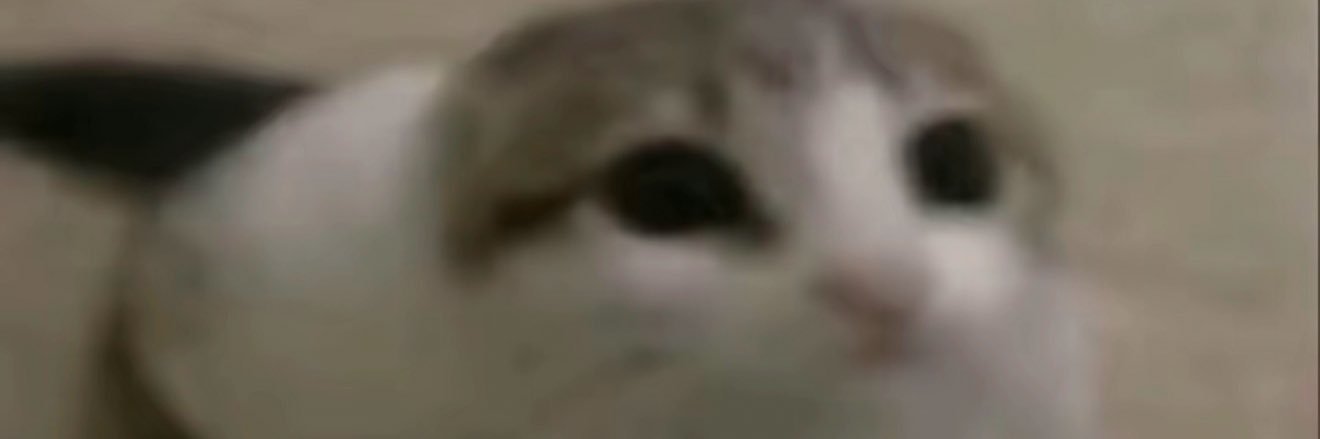 sereex26977's profile banner image