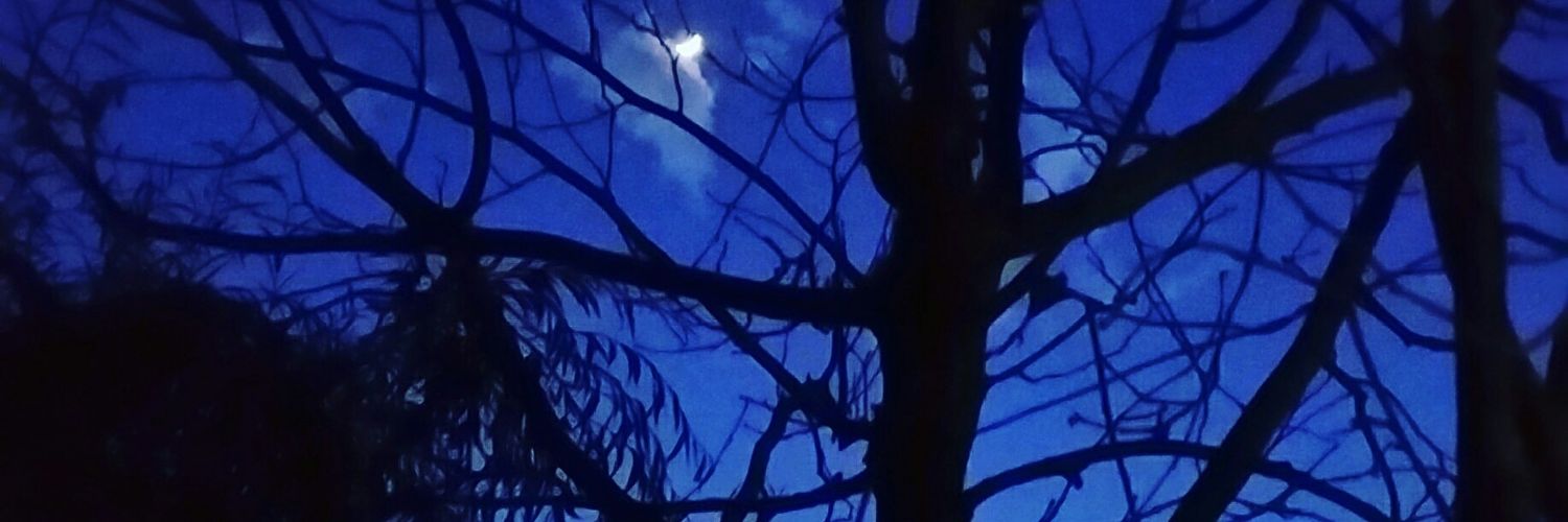 ibrahimkaya16's profile banner image