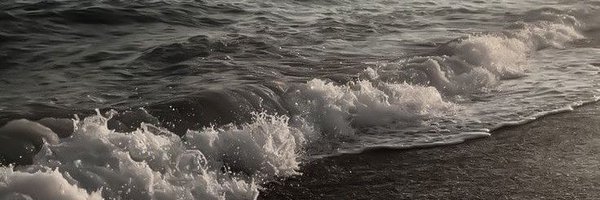 scr0122 Profile Banner