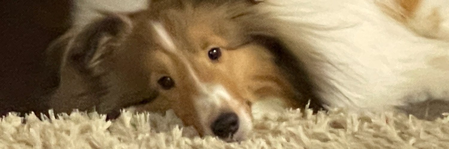 ewf65597's profile banner image