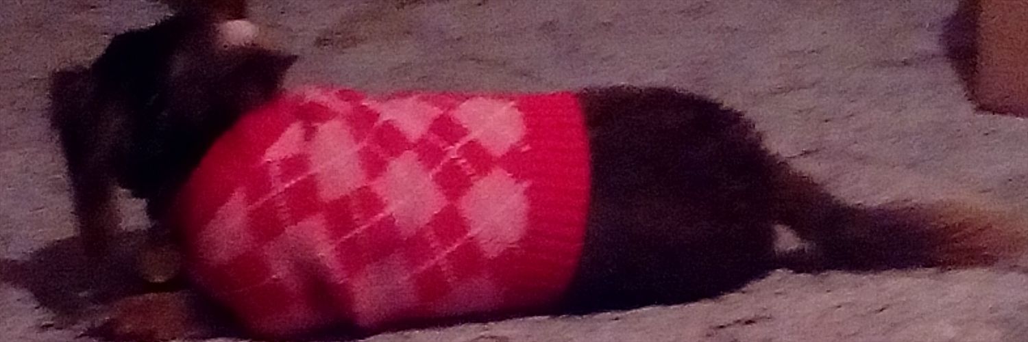 catas84's profile banner image