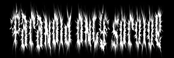 POS_noise Profile Banner