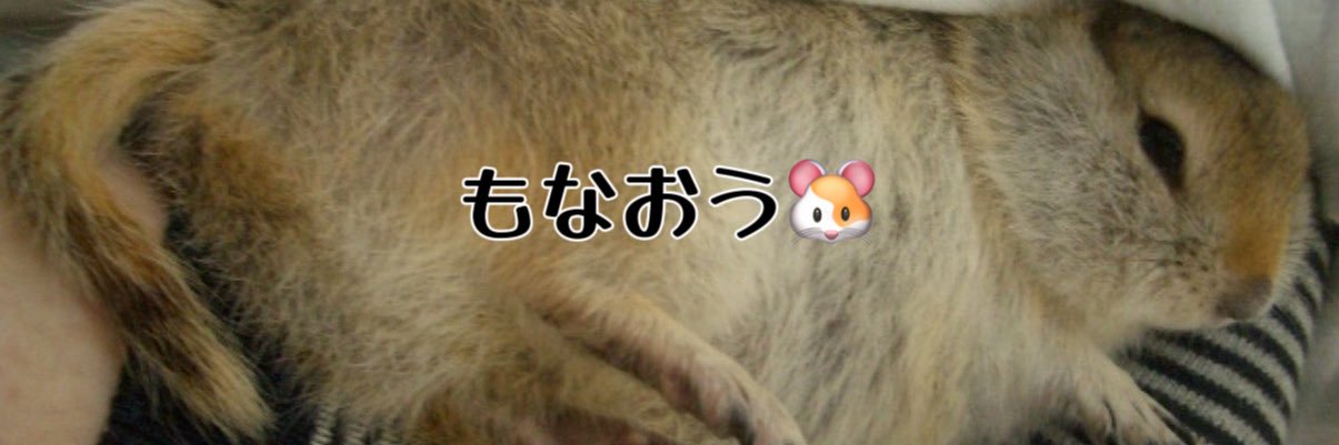 mona_monaou's profile banner image