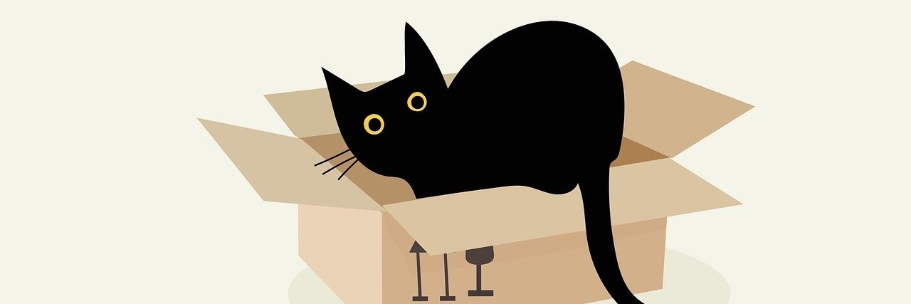 댕이 banner