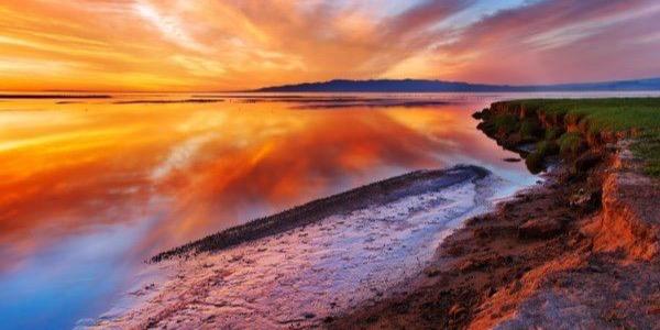 christinelozier's profile banner image