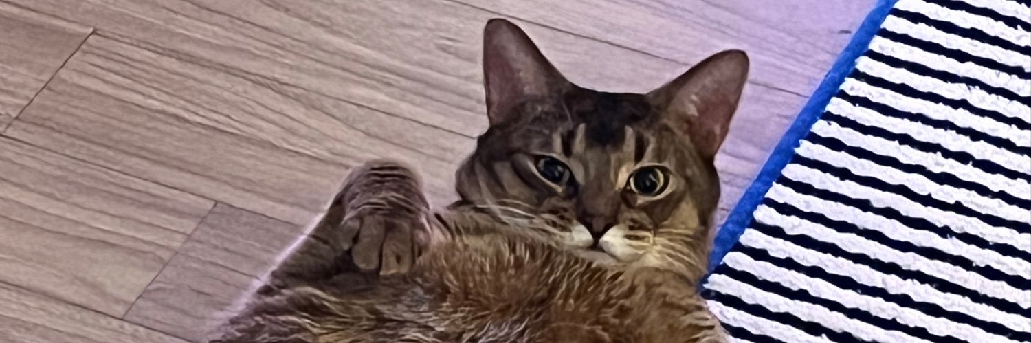 🐈‍⬛💌 banner