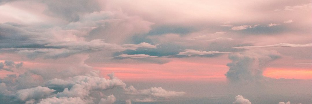 Pretty Females banner