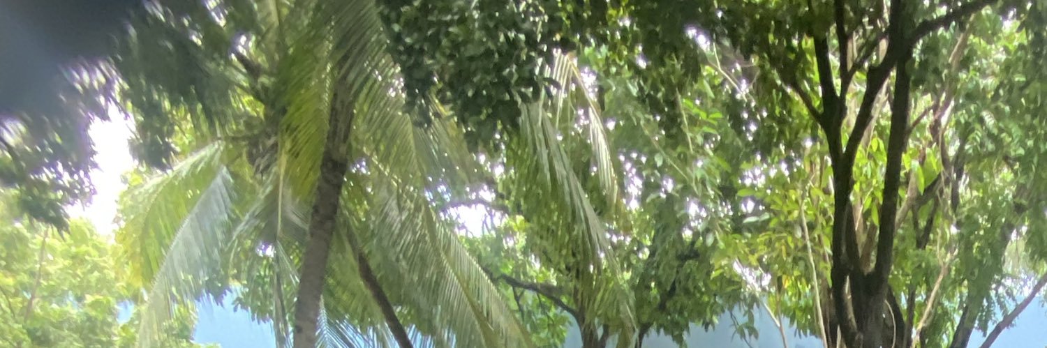 girafa pipas 🦒🪁 banner