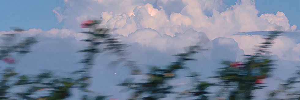 𓏲 banner