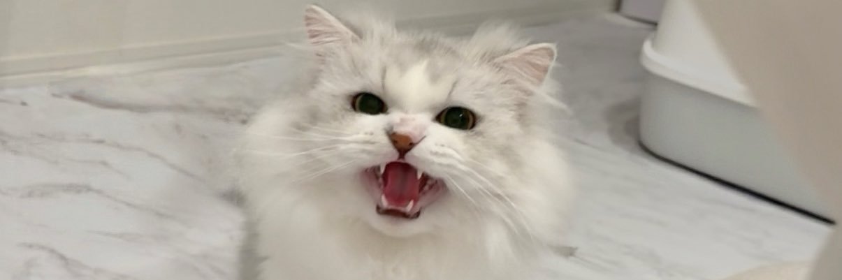 鈴音くれは【MATE×MATE!】 banner