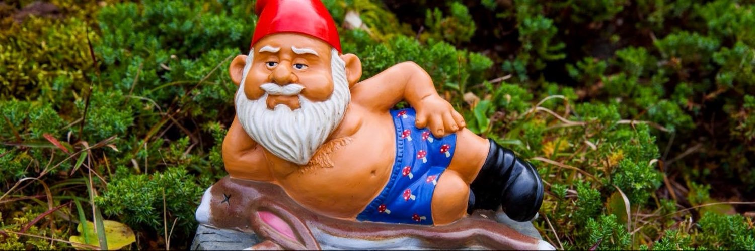 ShaggsBaggs's profile banner image