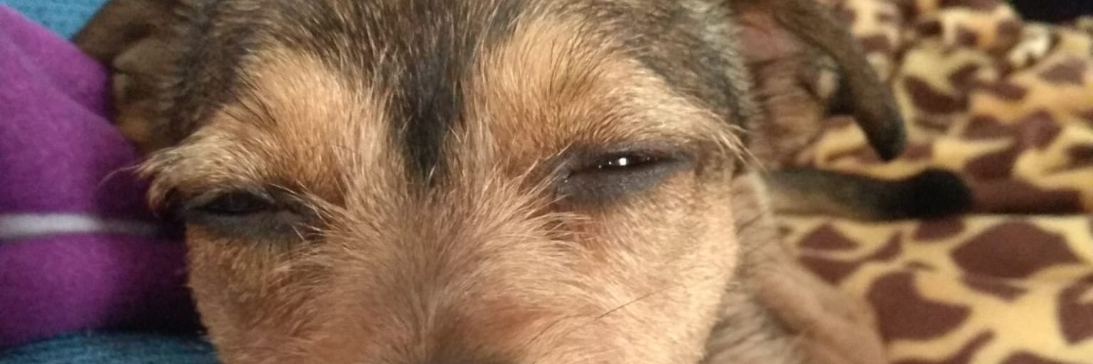 JoseGuiri's profile banner image
