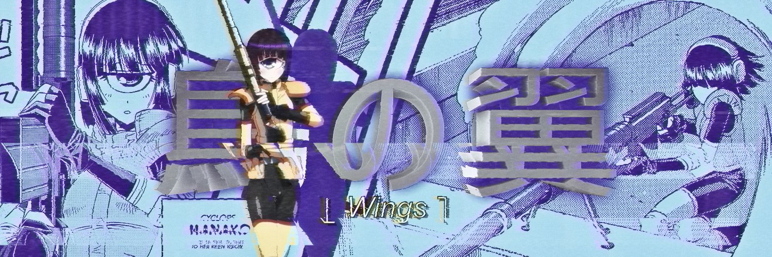 NHasWings's profile banner image