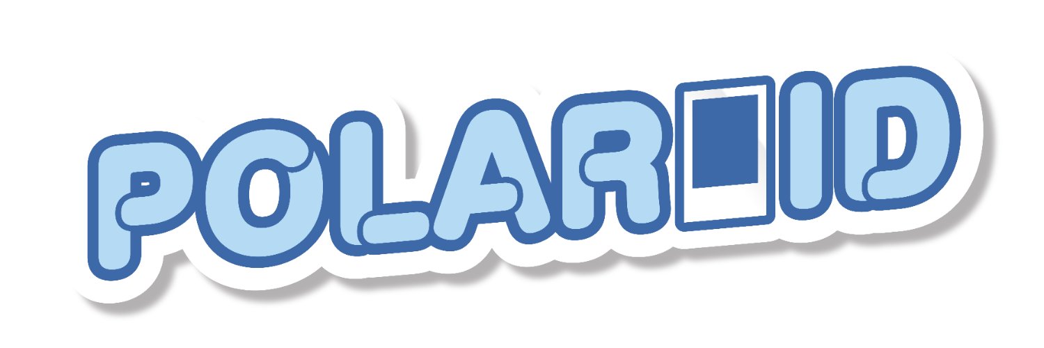 POLAROID banner