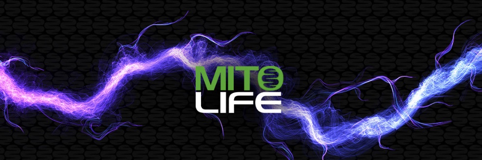 Mitolife banner